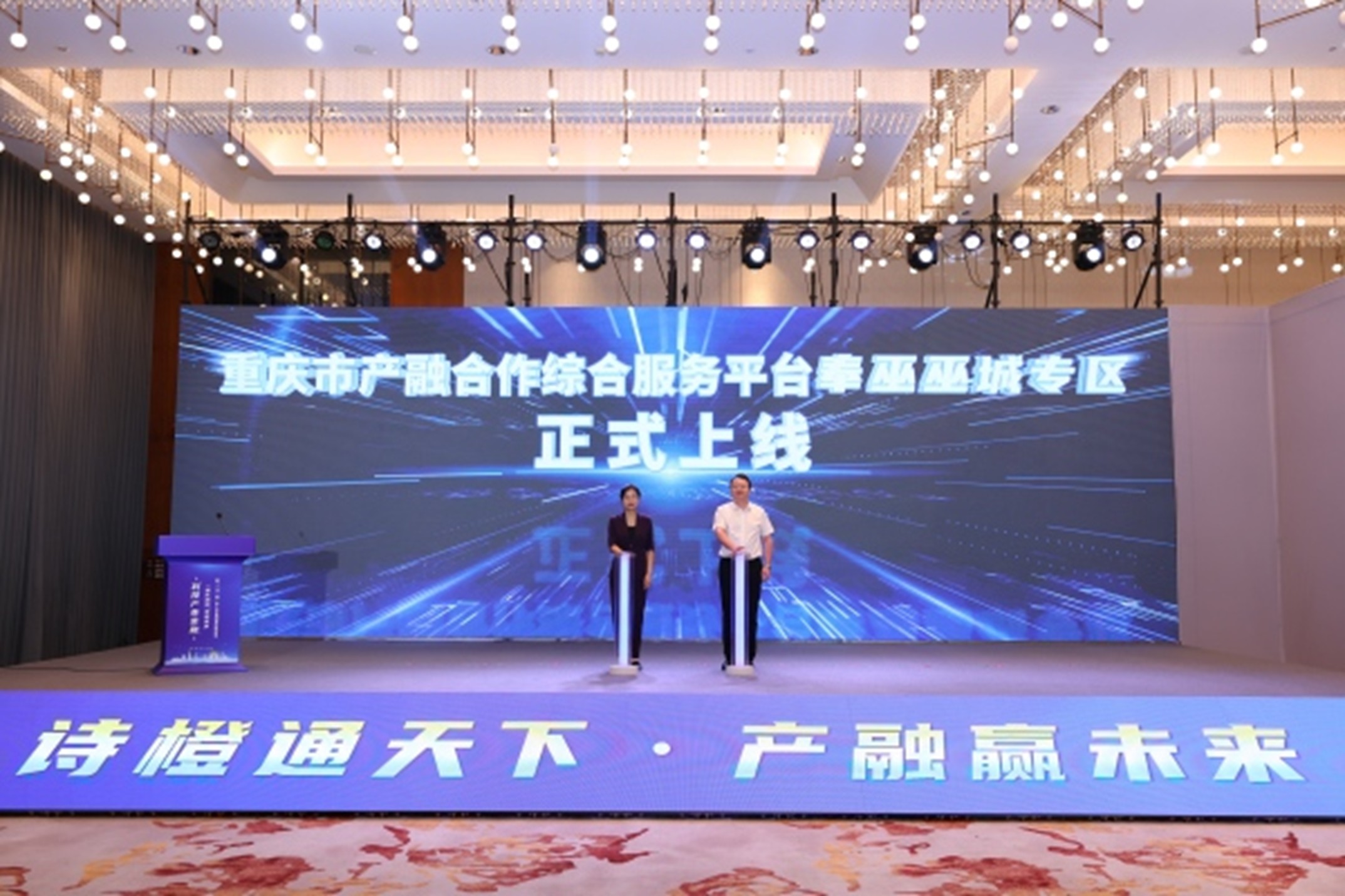 重慶市產(chǎn)融合作綜合服務平臺奉巫巫城專區(qū)正式上線。主辦方供圖