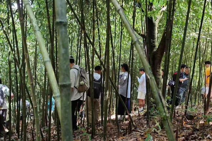 活動現(xiàn)場。主辦方供圖