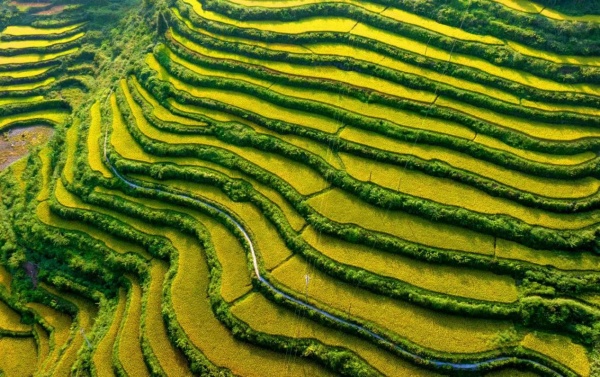 河壩村貢米梯田。秀山縣委宣傳部供圖