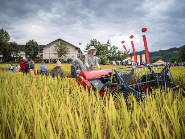 活動現(xiàn)場。王傳貴攝