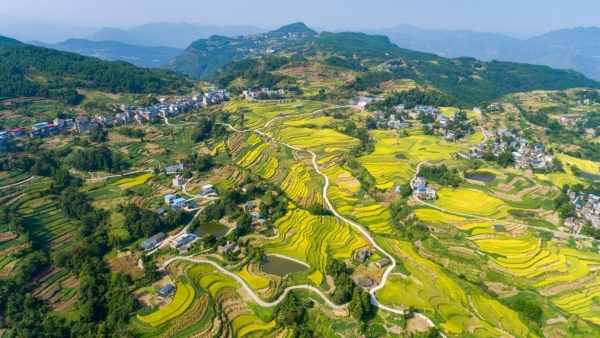 奉節(jié)鄉(xiāng)村美景。王傳貴攝