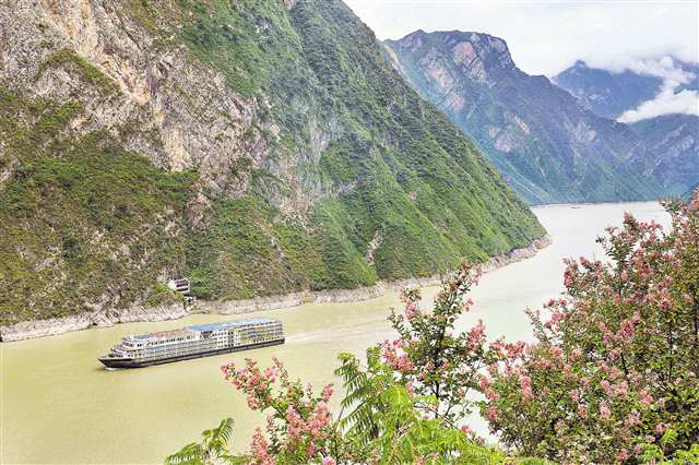 九月十三日，長江三峽巫峽兩岸紫薇花盛放，與遠(yuǎn)山、近水、城市、橋梁等相映成景。船行其間，美如畫卷。特約攝影 王忠虎\視覺重慶