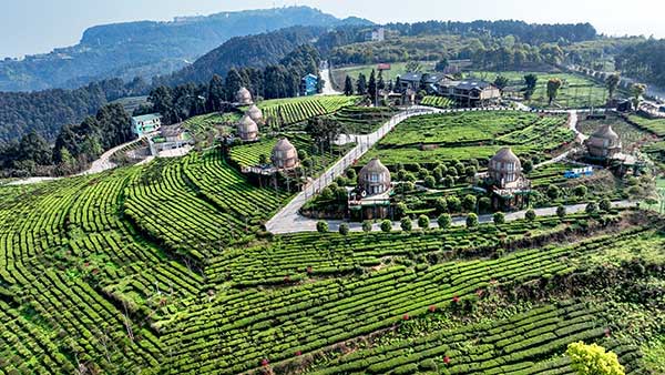 石筍山。工行重慶市分行供圖