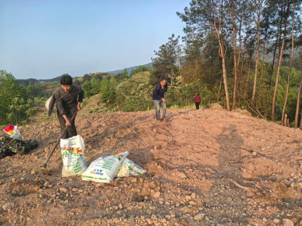 村民正在整治荒地。龔安鵬攝