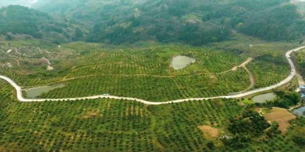 富民村新貌。受訪者供圖