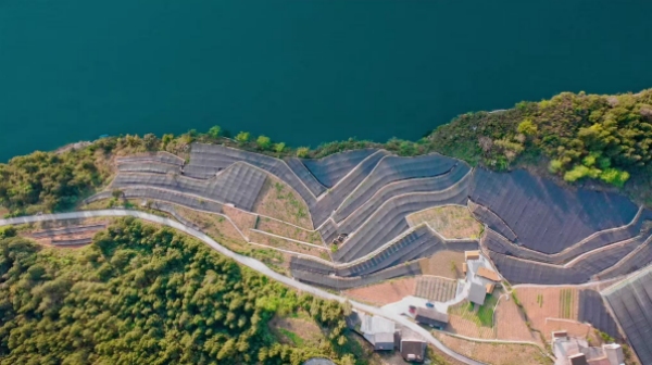 “苗藥谷” 一角。彭水融媒體中心供圖