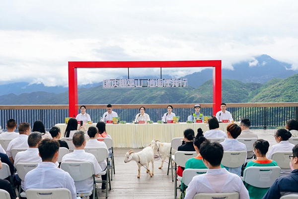 發(fā)布會現(xiàn)場。巫山縣文旅委供圖