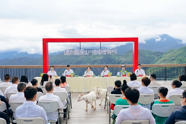 發(fā)布活動現(xiàn)場。巫山縣委宣傳部供圖