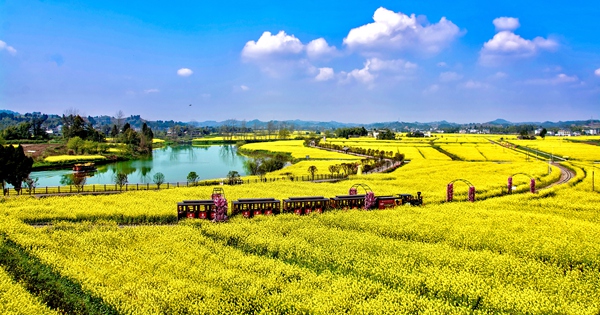 潼南油菜花海。潼南區(qū)文化旅游委供圖