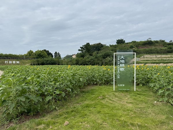 柳蔭鎮(zhèn)東升村小豐年“大地耕歌”主題研學(xué)基地。胥世鵬攝