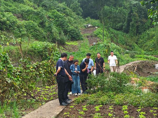 政協(xié)委員們深入調(diào)研。廖秀明攝