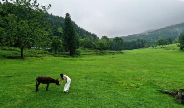 武陵山國家森林公園。涪陵區(qū)融媒體中心供圖