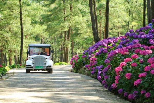 大木花谷·林下花園。涪陵區(qū)融媒體中心供圖