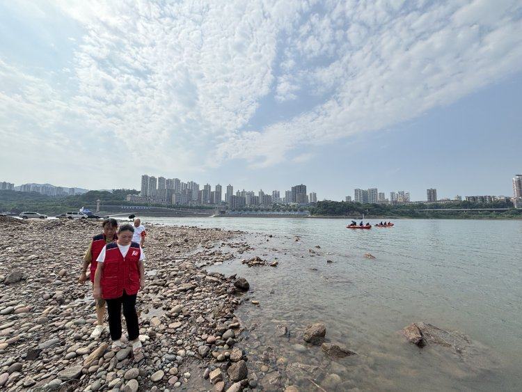 志愿者為守護黃桷坪的美好貢獻了巨大的力量。