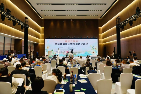 活動現(xiàn)場。主辦方供圖