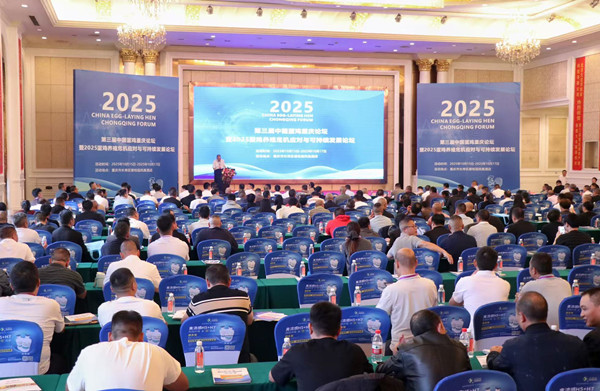 第三屆中國蛋雞重慶論壇舉行。胥世鵬攝