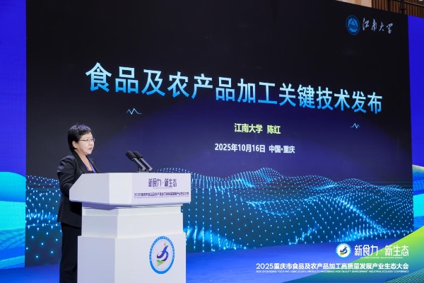 主峰會現(xiàn)場圖。主辦方供圖