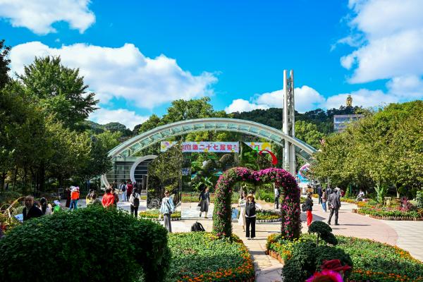 菊花展在南山植物園開展。崔景印攝