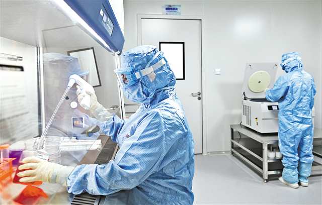 十月二十二日，金鳳實驗室，金鳳干細胞中心科研人員正在做實驗。首席記者 龍帆 攝\視覺重慶