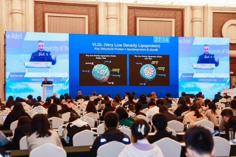 論壇現(xiàn)場。主辦方供圖