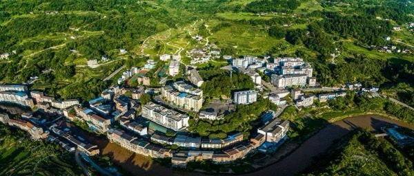 中峰鎮(zhèn)全鎮(zhèn)森林覆蓋率達(dá)73.6%。受訪單位供圖