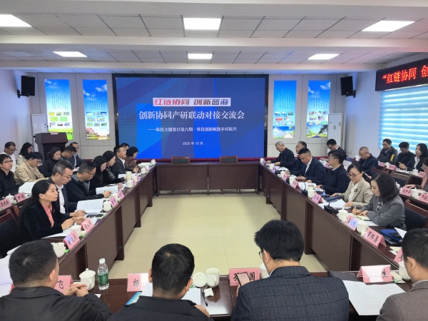 交流會現(xiàn)場。主辦方供圖