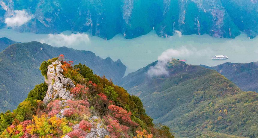 2025年11月4日，巫山縣長江巫峽兩岸層林盡染，紅葉似火，船只航行其間，如在畫中。通訊員 馮光倫 攝