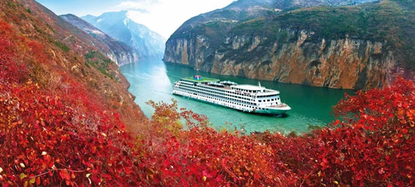 正在長(zhǎng)江三峽行駛的黃金游輪。重慶文旅集團(tuán)供圖