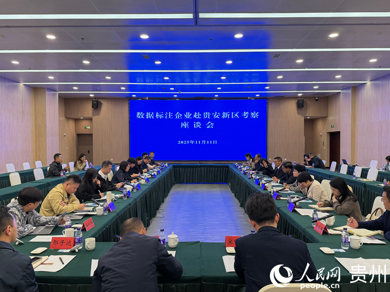 座談會現(xiàn)場。 貴州省大數(shù)據(jù)局供圖