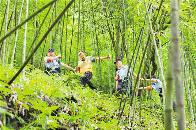金佛山方竹筍林區(qū),李宗明(左一)和同事徒步巡山。(受訪者供圖)