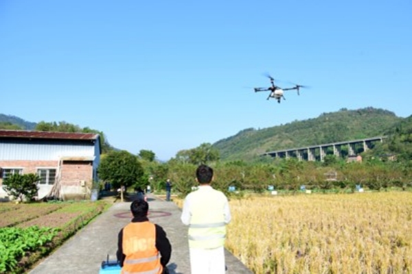 學(xué)員正在進(jìn)行農(nóng)用無人機(jī)操作測(cè)試。楊晨攝