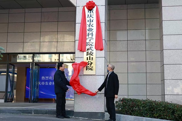 揭牌儀式現(xiàn)場(chǎng)。重慶市農(nóng)業(yè)農(nóng)村委供圖